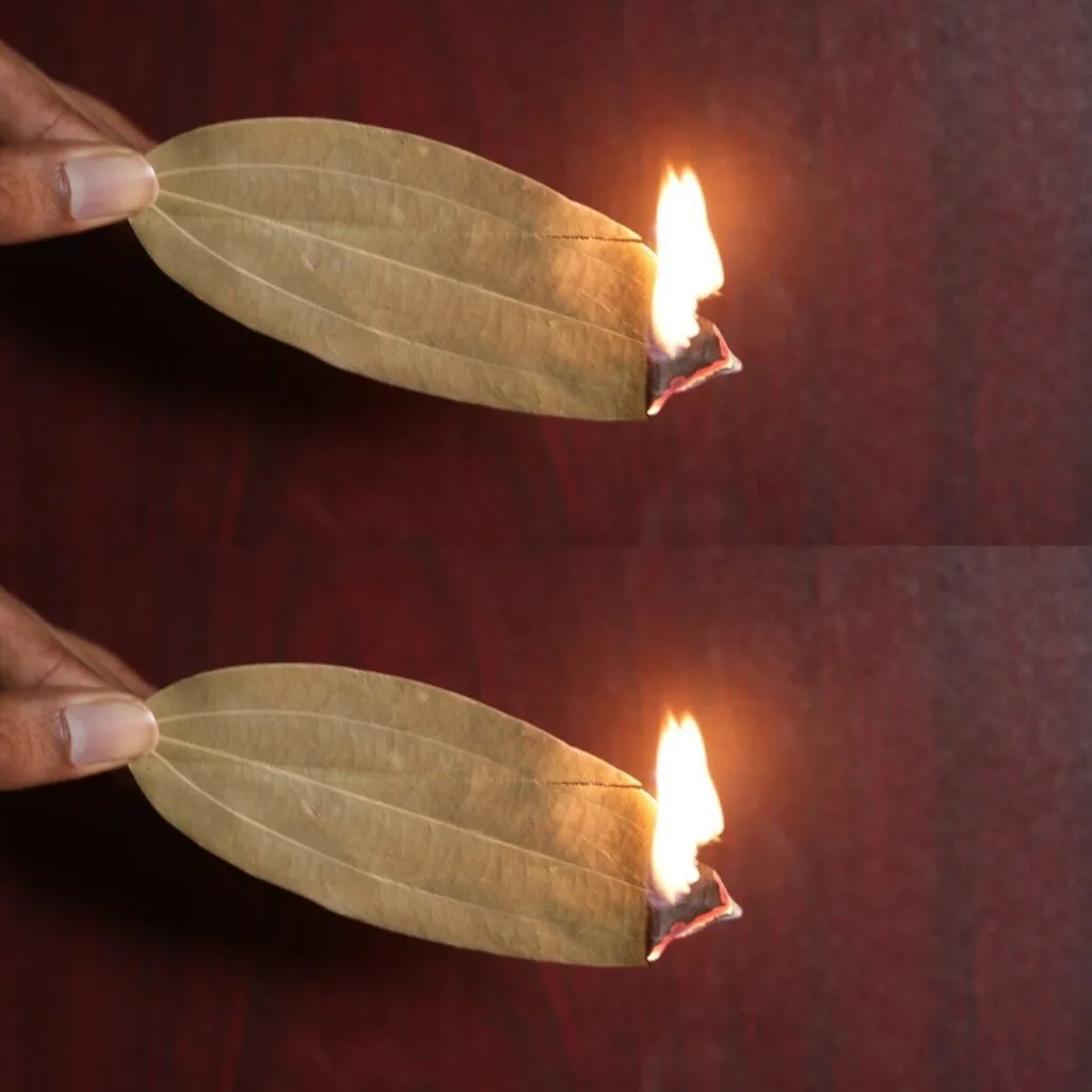The Surprising Benefits of Burning a Bay Leaf in Your Room