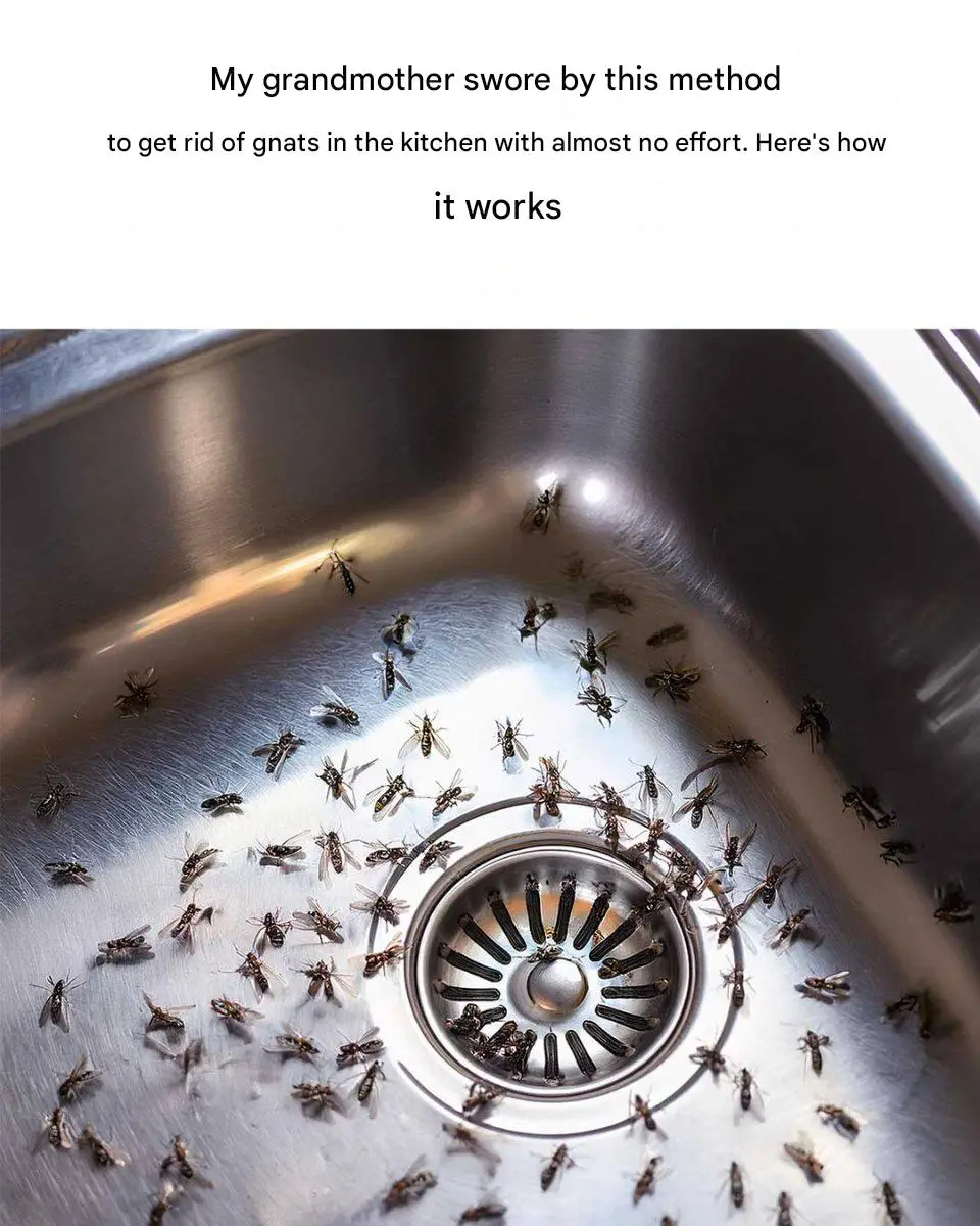 I hadn’t thought of doing that!