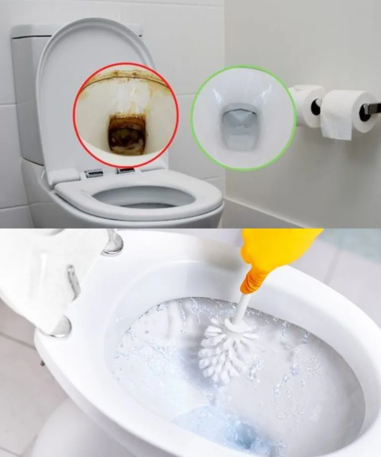 2 INGREDIENTS THAT WE ALL HAVE AT HOME TO MAKE THE BATHROOM NEW