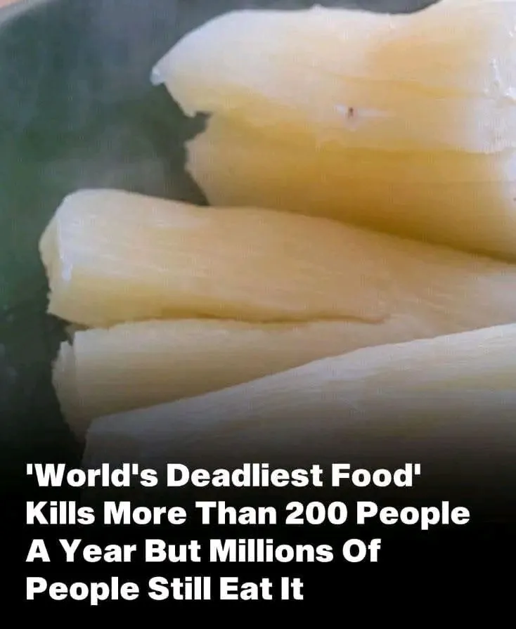 World’s ‘deadliest food’ kills 200 each year