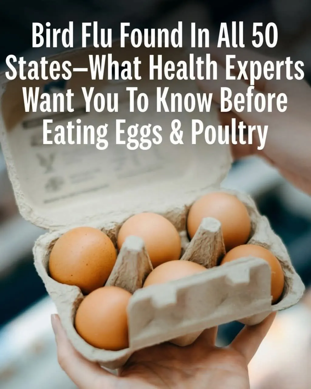 Bird Flu Found In All 50 States—What Health Experts Want You To Know Before Eating Eggs & Poultry