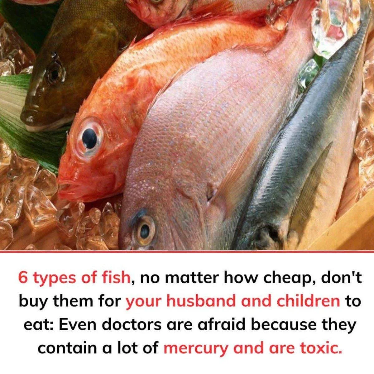 6 fish to avoid buying: High in mercury and toxic