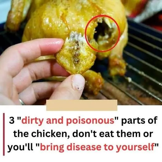 3 “dirty and poisonous” parts of the chicken, don’t eat them or you’ll “bring disease to yourself”