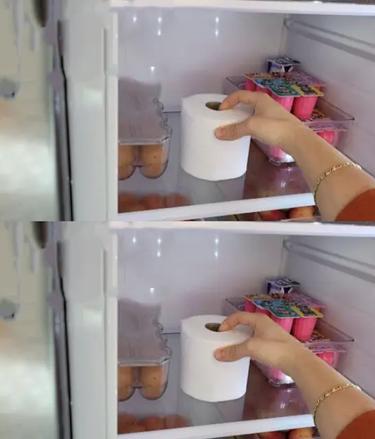 Put a roll of toilet paper in the fridge and you’ll be surprised by what happens.