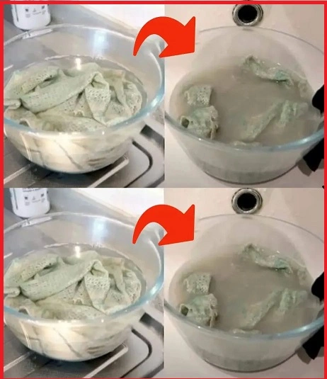 Dirty, bacteria-ridden kitchen towels, like new without bleach