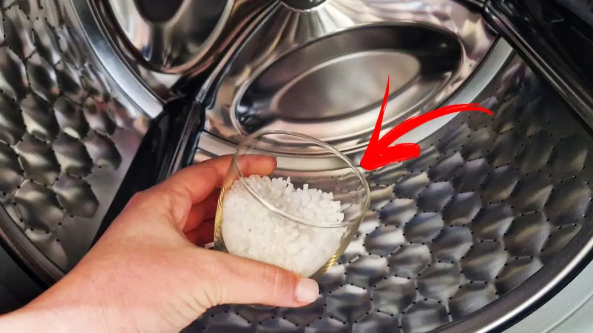 REMOVE ALL THE DIRT FROM THE WASHER WITH A SINGLE GLASS OF THIS METHOD