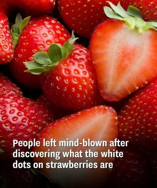 People left mind-blown after discovering what the white dots on strawberries are