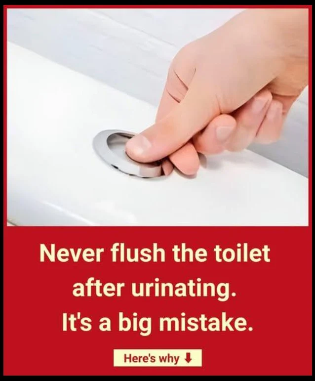 Why is it so important not to…