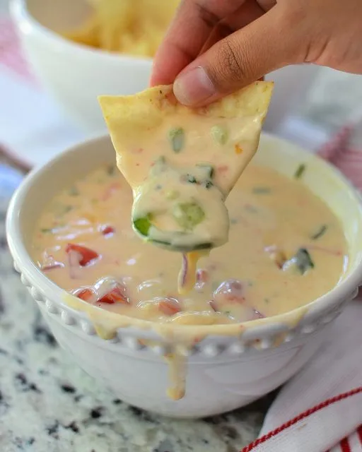 WHITE QUESO DIP